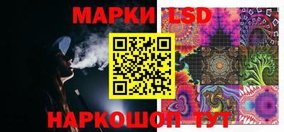 шишки Обнинск