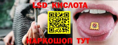 шишки Обнинск