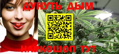 крисы Партизанск